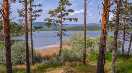 Pita Beach Recreation Area, Pantano de la Cuerda del Pozo Reservoir, Soria, Castilla Y León, Spain, Europe © Al Carrera