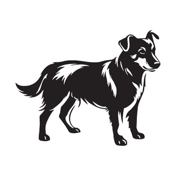 Norwegian, Buhund, Nordic, Spitz, Agile, Energetic, Loyal, Intelligent, Active, Herding, Farm, Working, Friendly, Alert, Brave, Playful, Devoted, Compact, Strong, Versatile, Watchdog, Confident.