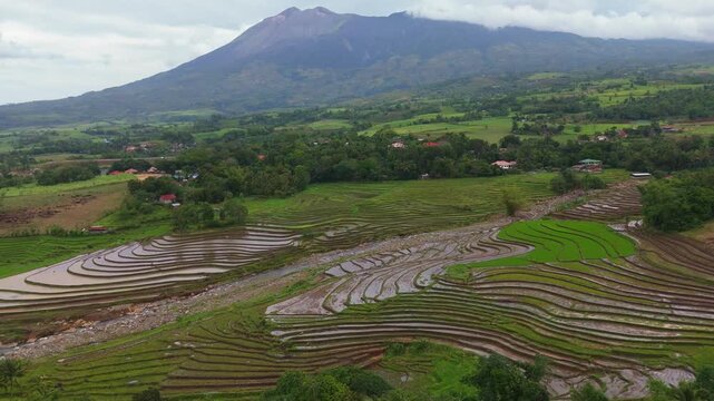 aerial perspective of rice terraces and a natural riverbed nestled at the base of the mountains in Canlaon City, Negros Oriental, Philippines. Traditional farming landscape