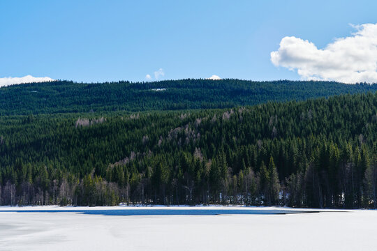 By the H&oslash;versj&oslash;en Lake of the Toten&aring;sen Hills, Norway, April 2026.