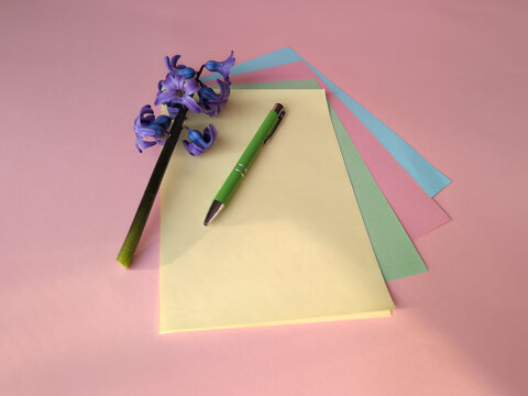 Purple hyacinth with pastel papers and green pen, spring sunlight highlight, planning concept, pink background, horizontal copy space