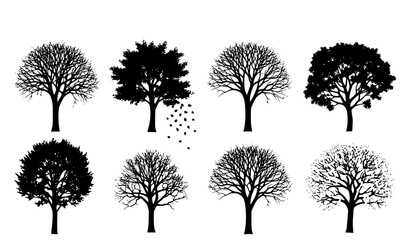 Obraz premium Seasonal tree silhouette collection vector showing spring summer autumn winter trees isolated on white background