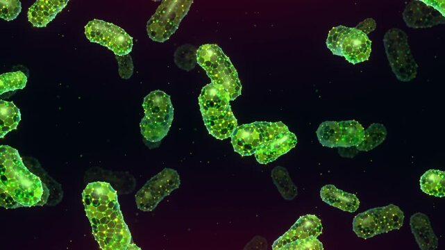 Intestinal Bacteria and Gut Microbiome Flow on an Animated Looped Background. Probiotic Microorganisms in the Digestive System Animation Loop in 3D Low Poly Style.