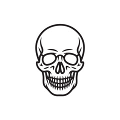 Obraz premium Minimal Skull Outline Vector Illustration – Simple Line Art Skeleton Head Icon