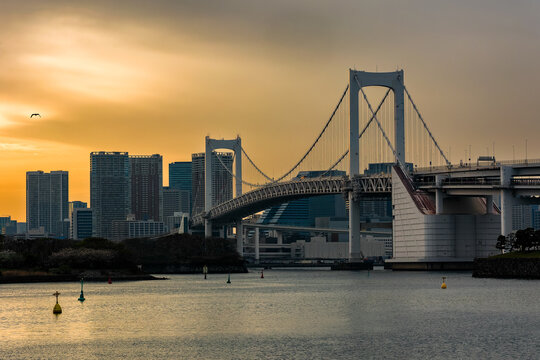 Modern suspension bridge and city skyscrapers under a golden sunset sky