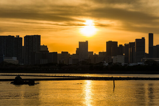 Golden hour sun glowing over city architecture and bay in Odaiba, Tokyo