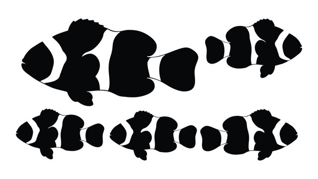 Black and white silhouettes of clownfish swimming in a minimalist composition