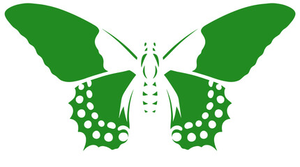 Green butterfly vector silhouette, stylized insect icon with decorative wing patterns, flat nature graphic for eco-friendly branding and logo design © Insa Batool