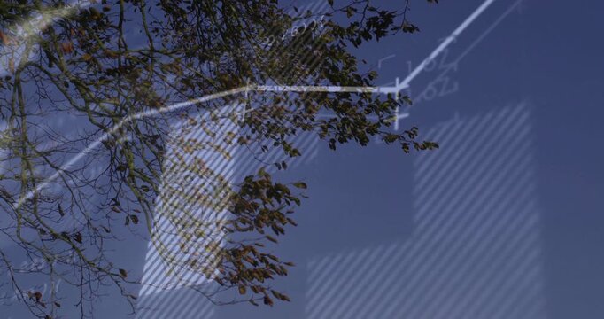 Slender branch being shown diagonally against blue sky with autumn leaves and schematic overlay