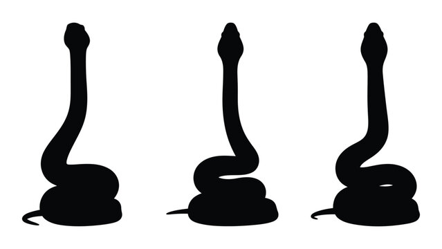 Three silhouetted cobras poised to strike showcasing their distinctive curved forms
