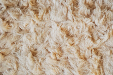Close-up view of soft fluffy wool texture © reddish