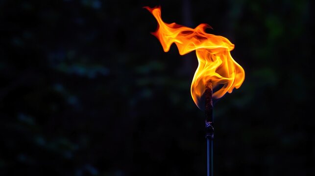 fiercely. A solitary flame burning brightly against a dark, undefined background. wellbeing guides, coaching materials, designed for coaching and self-improvement content, clarifies learning.