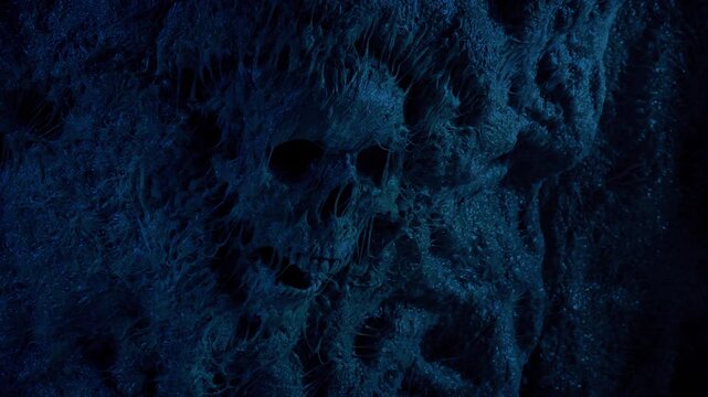 Skull In Cave Wall Moving Shot