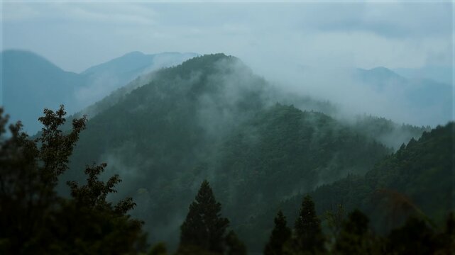 Foggy forest mountain landscape, clouds moving