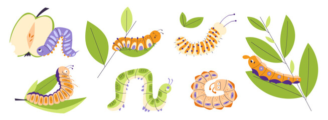 Collection of colorful caterpillars with leaves and fruit. Cute insects isolated on white background. Spring nature design for kids, education, ecology © hrytsai.art