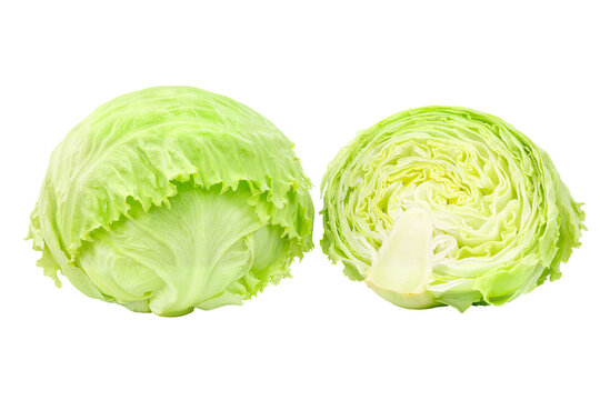 Green iceberg lettuce on white background 