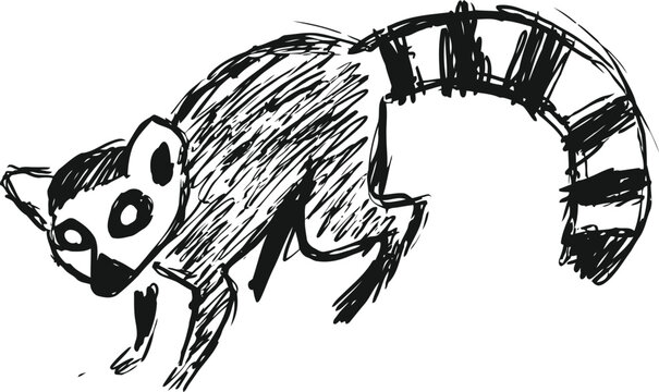 Black and white sketch of a ring tailed lemur in a walking pose with detailed stripes on the tail