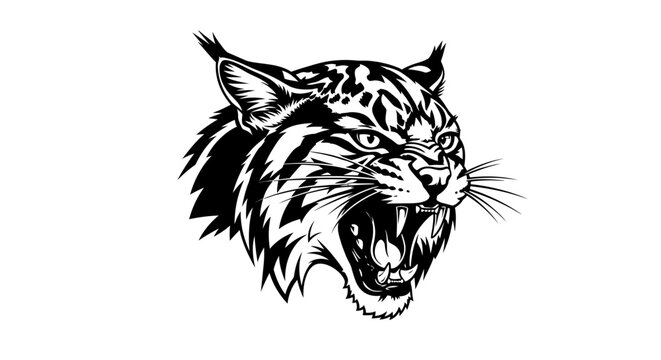 Furious bobcat head roaring with open mouth.