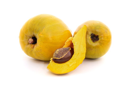 Canistel or Pouteria campechiana (Kunth) Baehni fruits isolated on white background.