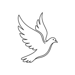 Fototapeta premium Outline drawing of a dove in flight, symbol of peace and freedom, isolated on white background
