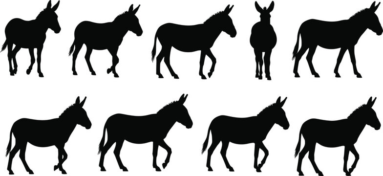 Donkey silhouettes set of standing and walking domestic farm animals in various poses isolated on white background for livestock and rural life design
