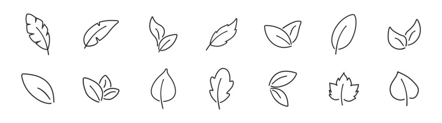 Fototapeta premium Leaf outline icons set, nature plant foliage symbols, botanical line shapes, vector collection isolated on transparent background