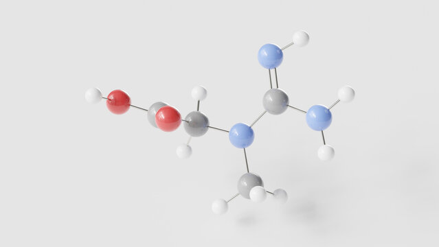 creatine molecule 3d, molecular structure, ball and stick model, structural chemical formula performance enhancing supplement