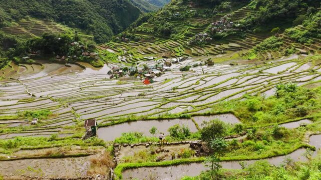 Drone approaching couple overlooking Batad rice terraces in Luzon Philippines