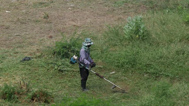 outdoor workers wearing hats trimming overgrown grass on a grassy slope using handheld brush cutters, aerial view