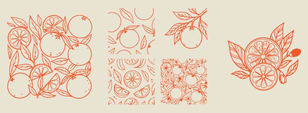 orange citrus and leaf patterns, aesthetic fruit garden doodles, hand drawn nature element sketches, creative botanical line art drawings, minimal citrus fruit sketches, scrapbook nature doodle set, o