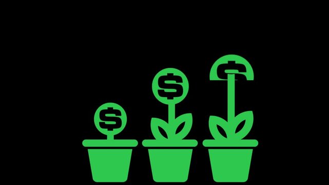 dollar grow adobestock motion graphic