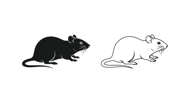 Black vs White Lab Rats Comparison Guide Vector