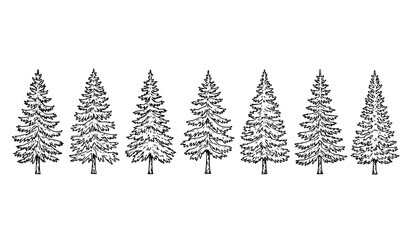 Obraz premium Brown pine and fir tree engraving silhouette set vintage nature vector isolated on white background