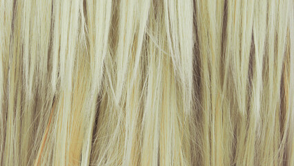 Naklejka premium Close-up texture of straight blonde hair as a background.