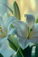 Obraz premium Close-up view of white flowers arranged in a vase. vertical frame