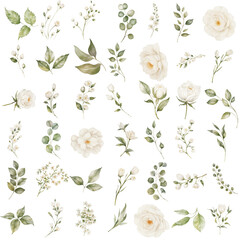 Watercolor Floral element Graphics, High-Res Flower Borders for Physical Products, Digital Design Elements, White Rose Clipart for Planners © MagicArtStock