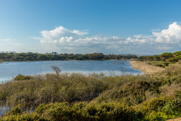 Obraz premium Scenic Lagoon Landscape and Dirt Road in Quarteira Algarve Portugal