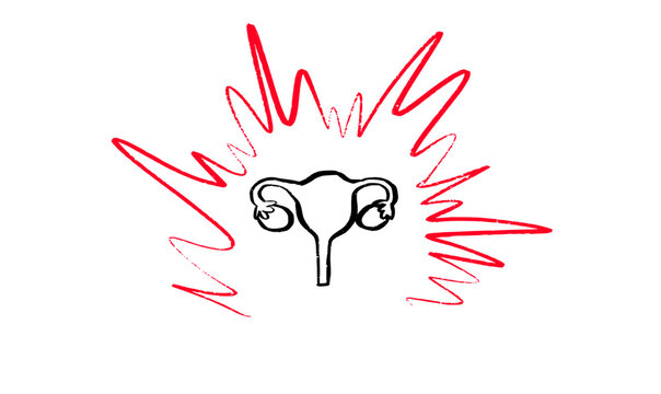 Female reproductive system