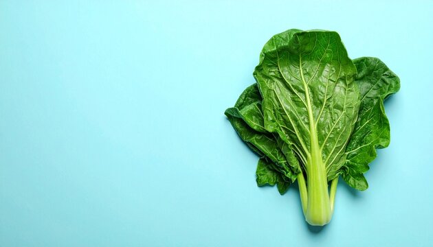 Fresh Green Cabbage Light Blue Background Crisp Leafy Vegetable Healthy Food Visuals