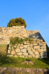Fototapeta premium 明石城 稲荷曲輪跡の石垣