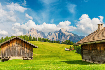 Wooden alpine cabins on green meadow at Seiser Alm in Dolomites, Italy, with mountain peaks and forest landscape. Rural landscape, travel, escape and traditional alpine lifestyle in Alpe di Siusi