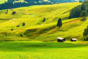 Rolling green hills and alpine meadows at Seiser Alm in Dolomites, Italy, with scattered wooden cabins and winding road. Rural landscape, travel, escape and alpine lifestyle in Alpe di Siusi