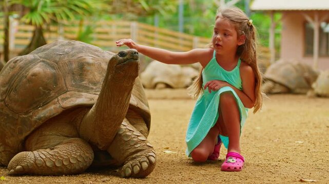 Little girl pet the head of a rare, giant turtle on the tropical island of Mauritius