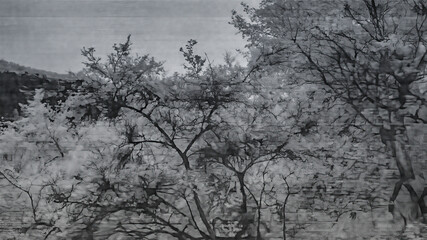 Naklejka premium Artistic infrared photography of Iceland forest highlighting trees, contrast, and atmosphere