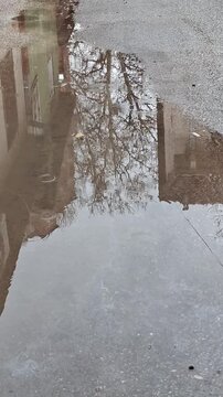 Raindrops on a water puddle on the asphalt street