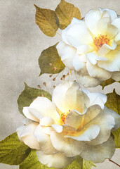 Beautiful white roses card. Vintage floral canvas table. © Vidal