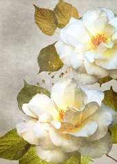 Beautiful white roses card. Vintage floral canvas table. © Vidal