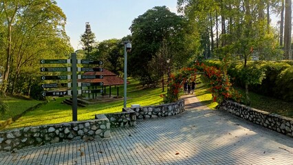 Fototapeta premium Beautiful scenery and atmosphere at Perdana Botanical Gardens, Kuala Lumpur, Malaysia.