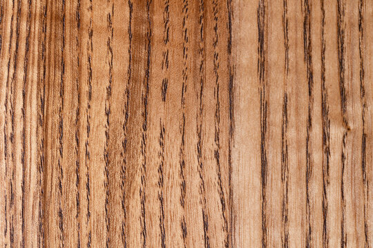 wood oak texture natural background surface with old natural pattern, texture with wooden grain