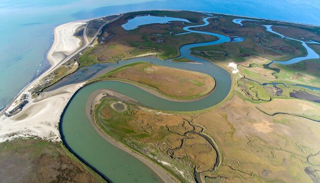 Aerial view of winding tidal creek in salt marsh with lush green cordgrass and blue water